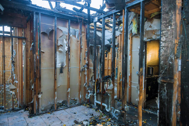 Professional Fire Damage Removal technician working in Bridgeview, IL
